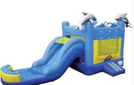 Blue inflatable slide bounce house